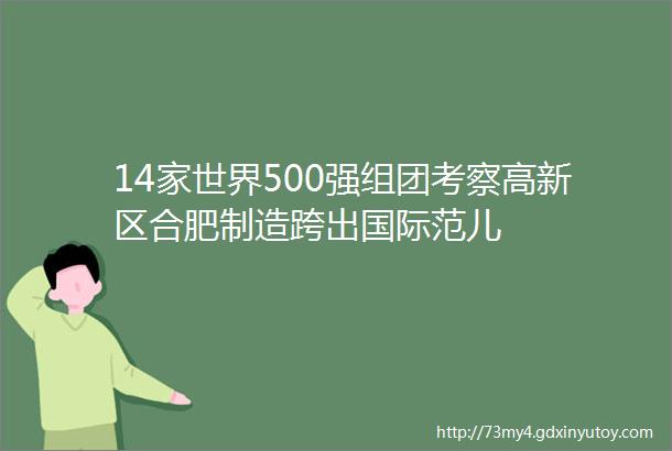 14家世界500强组团考察高新区合肥制造跨出国际范儿